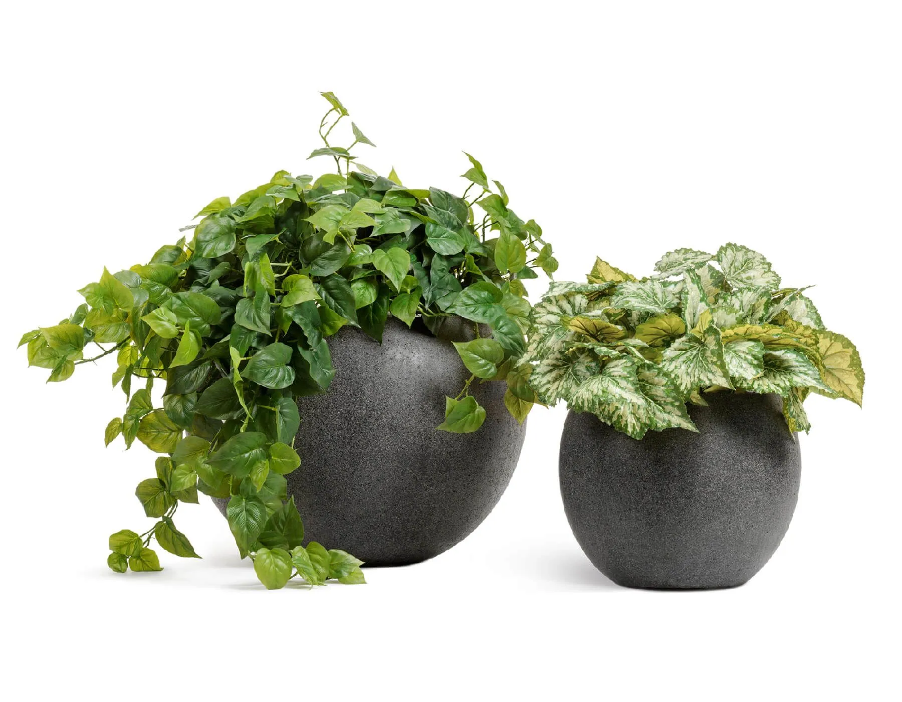 Кашпо Stone - TREEZ Effectory - Тёмно-серый камень -  Большая полусфера