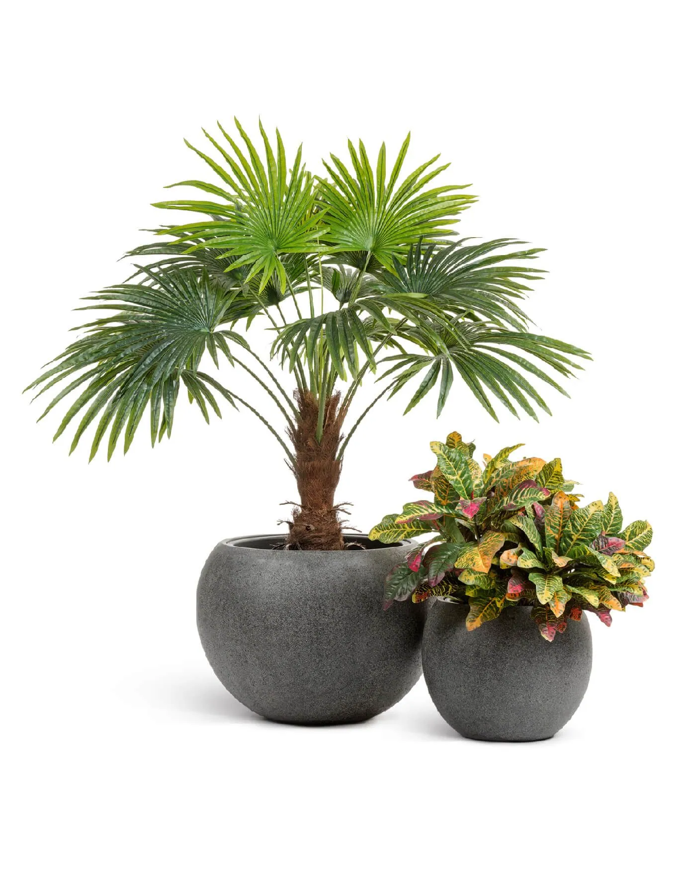 Кашпо Stone - TREEZ Effectory - Тёмно-серый камень -  Большая полусфера