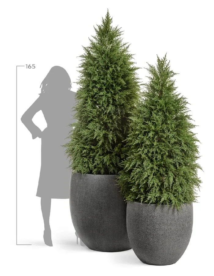 Кашпо Stone -TREEZ Effectory - Тёмно-серый камень -  Большой округлый конус