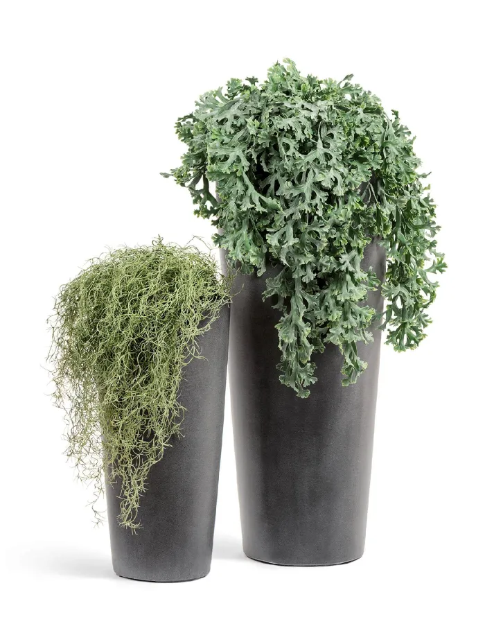 Кашпо Beton - TREEZ Effectory - Тёмно-серый бетон - Высокий конус