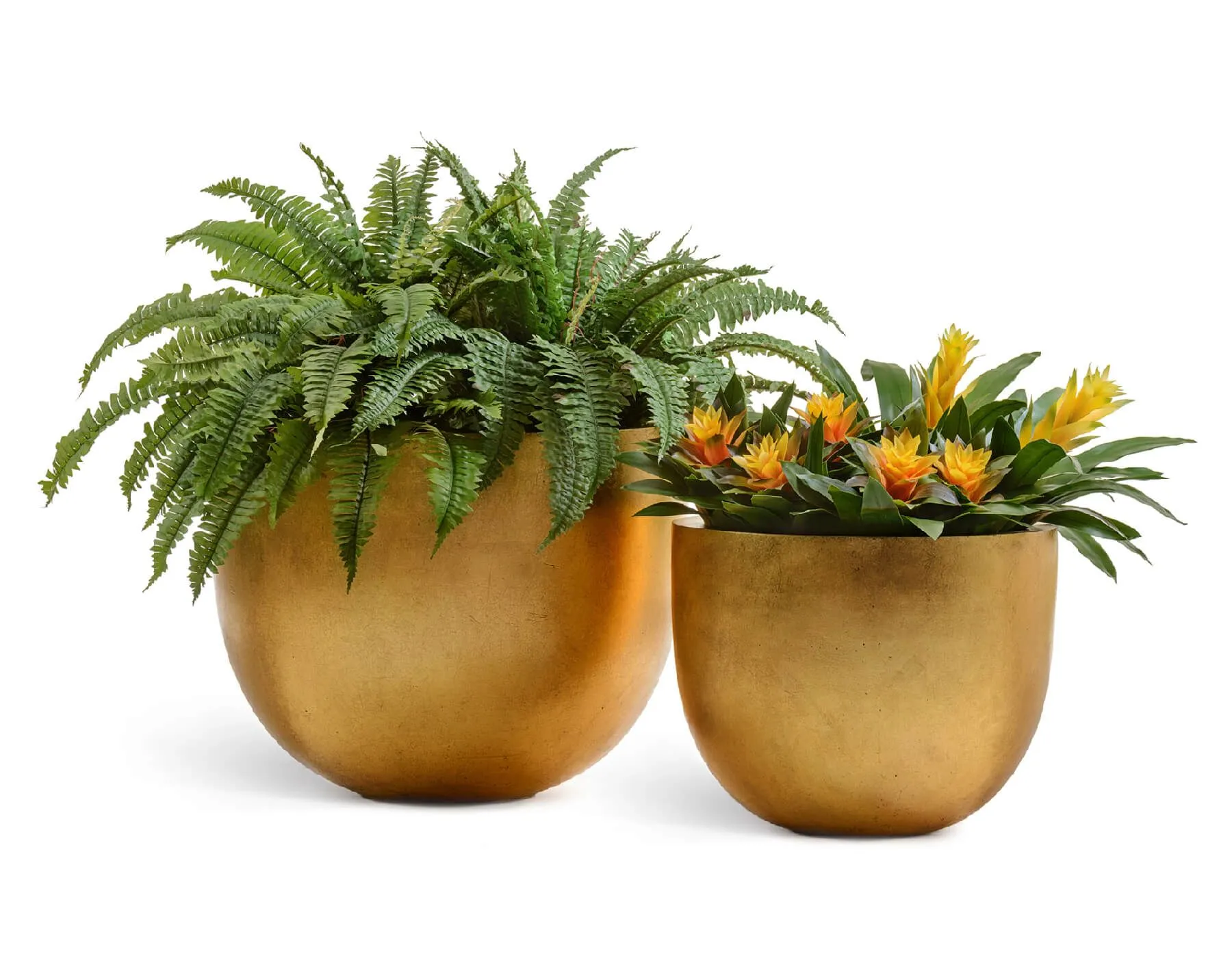 Кашпо TREEZ Effectory - Metal - Низкая конус-чаша - Сусальное золото