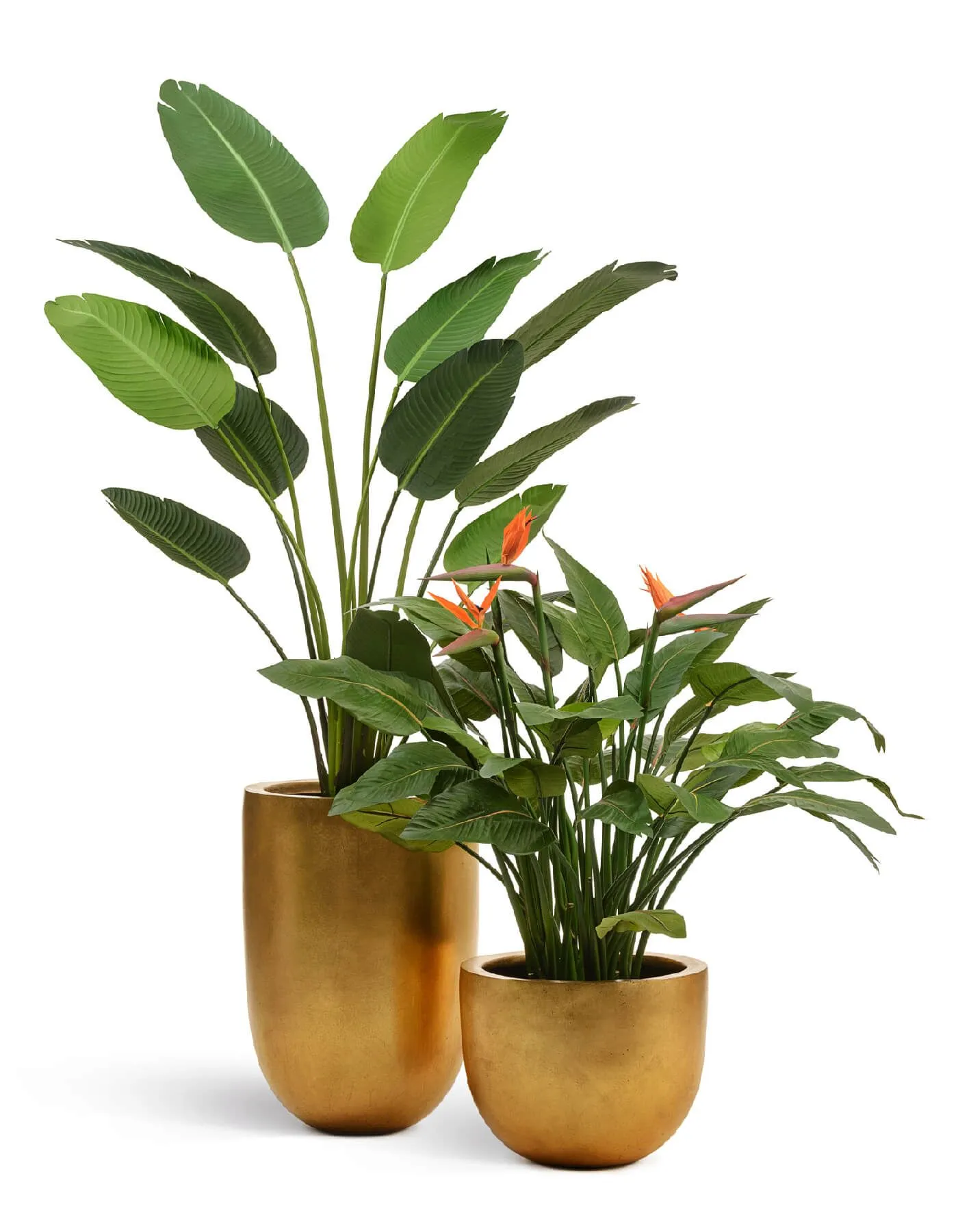 Кашпо TREEZ Effectory - Metal - Низкая конус-чаша - Сусальное золото