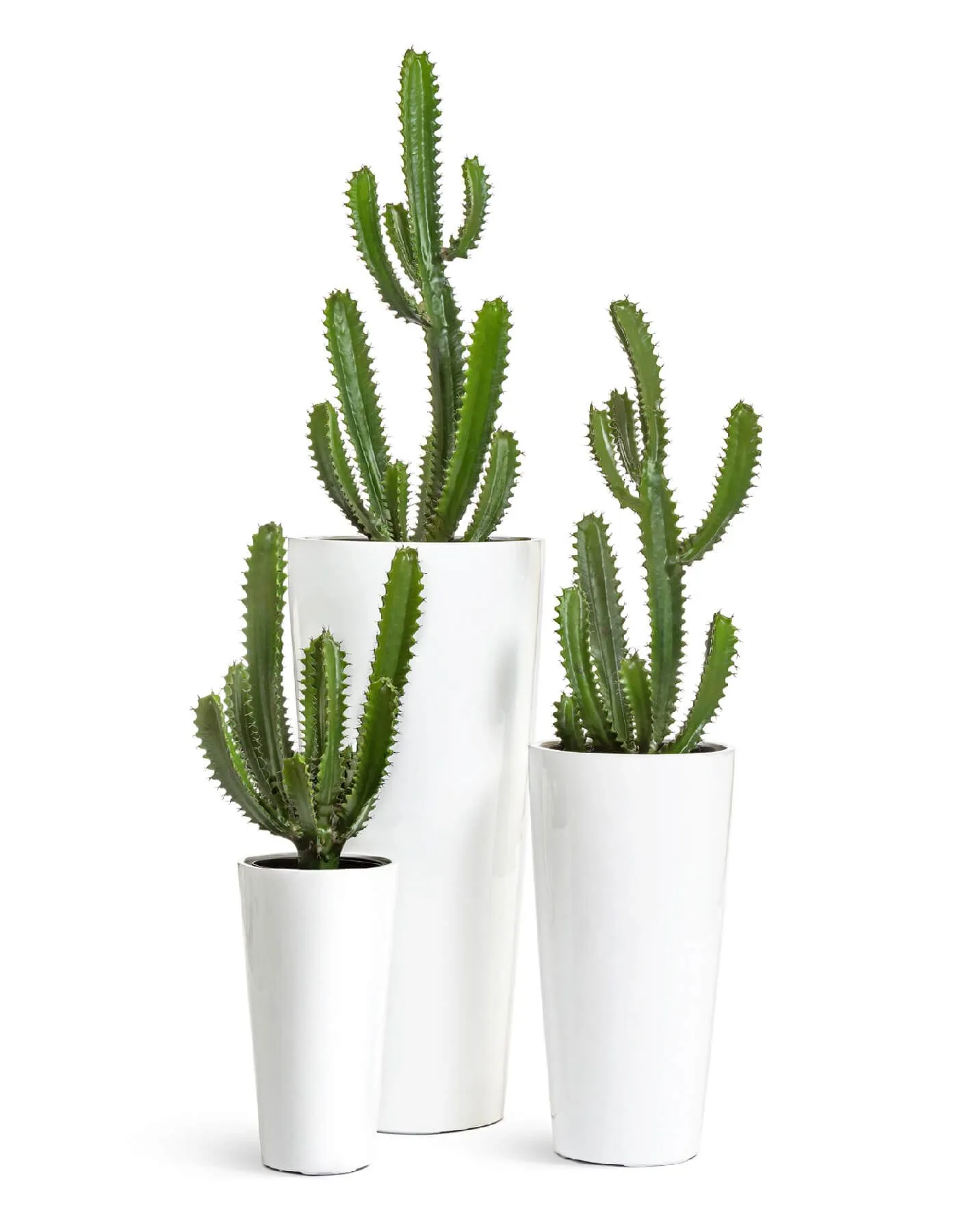 Кашпо Gloss - TREEZ Effectory - Белый глянцевый лак - Высокий конус