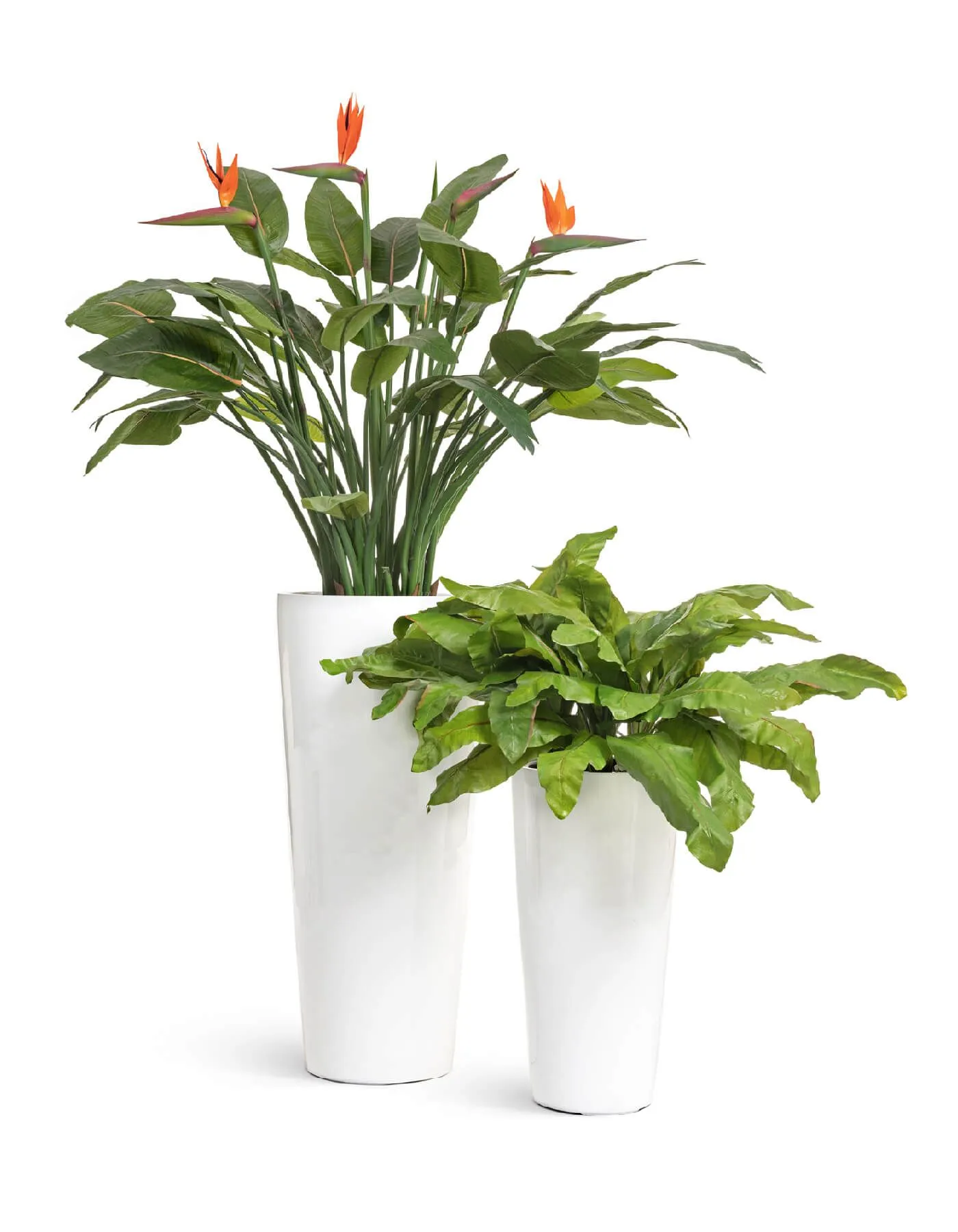 Кашпо Gloss - TREEZ Effectory - Белый глянцевый лак - Высокий конус