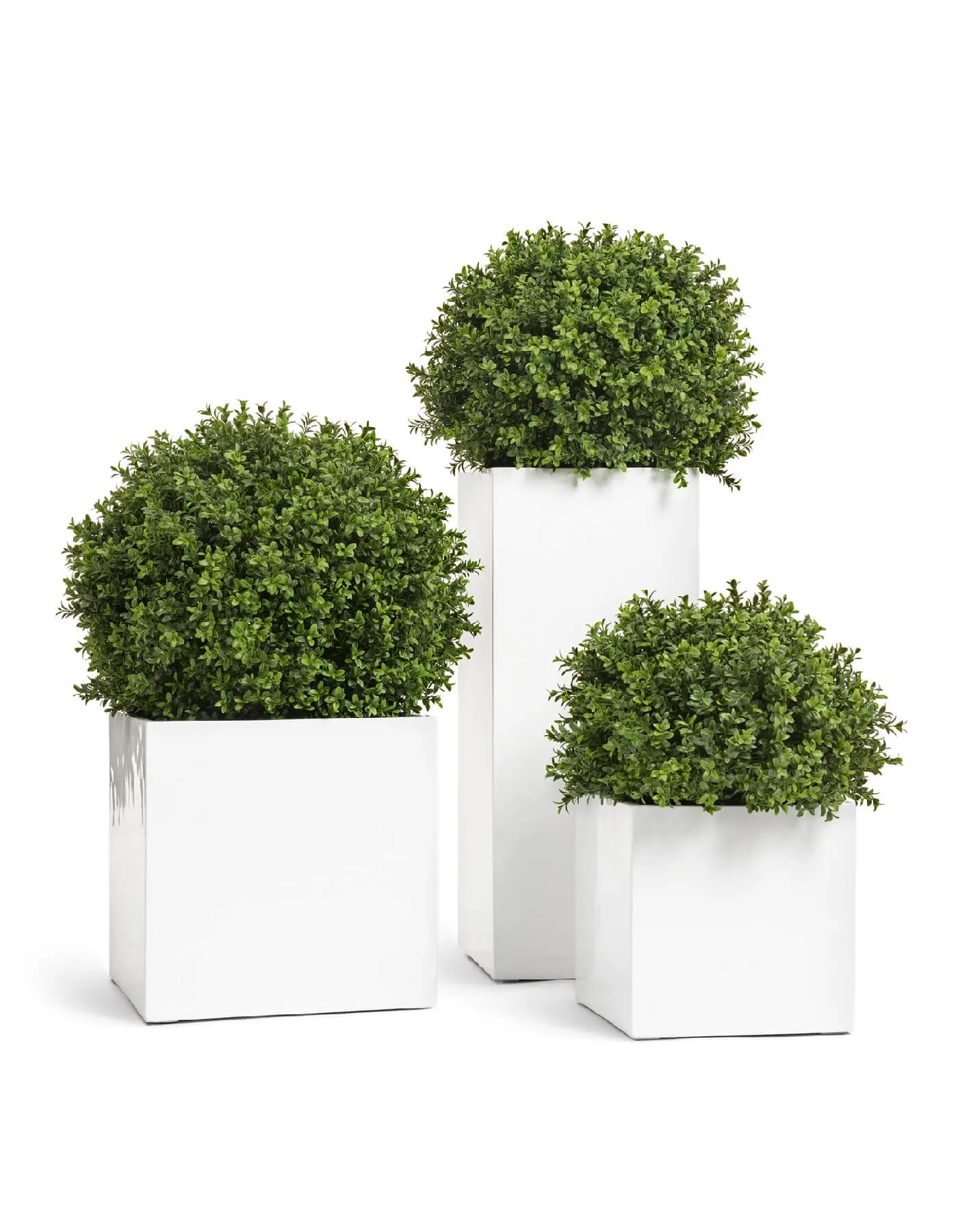 Кашпо Gloss - TREEZ Effectory - Белый глянцевый лак -  Куб