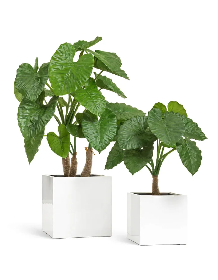 Кашпо Gloss - TREEZ Effectory - Белый глянцевый лак -  Куб