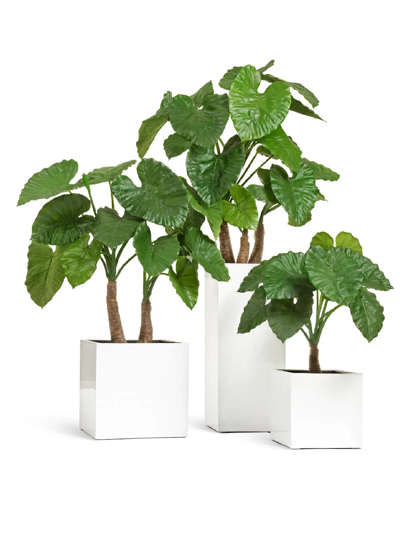 Кашпо Gloss - TREEZ Effectory - Белый глянцевый лак -  Куб