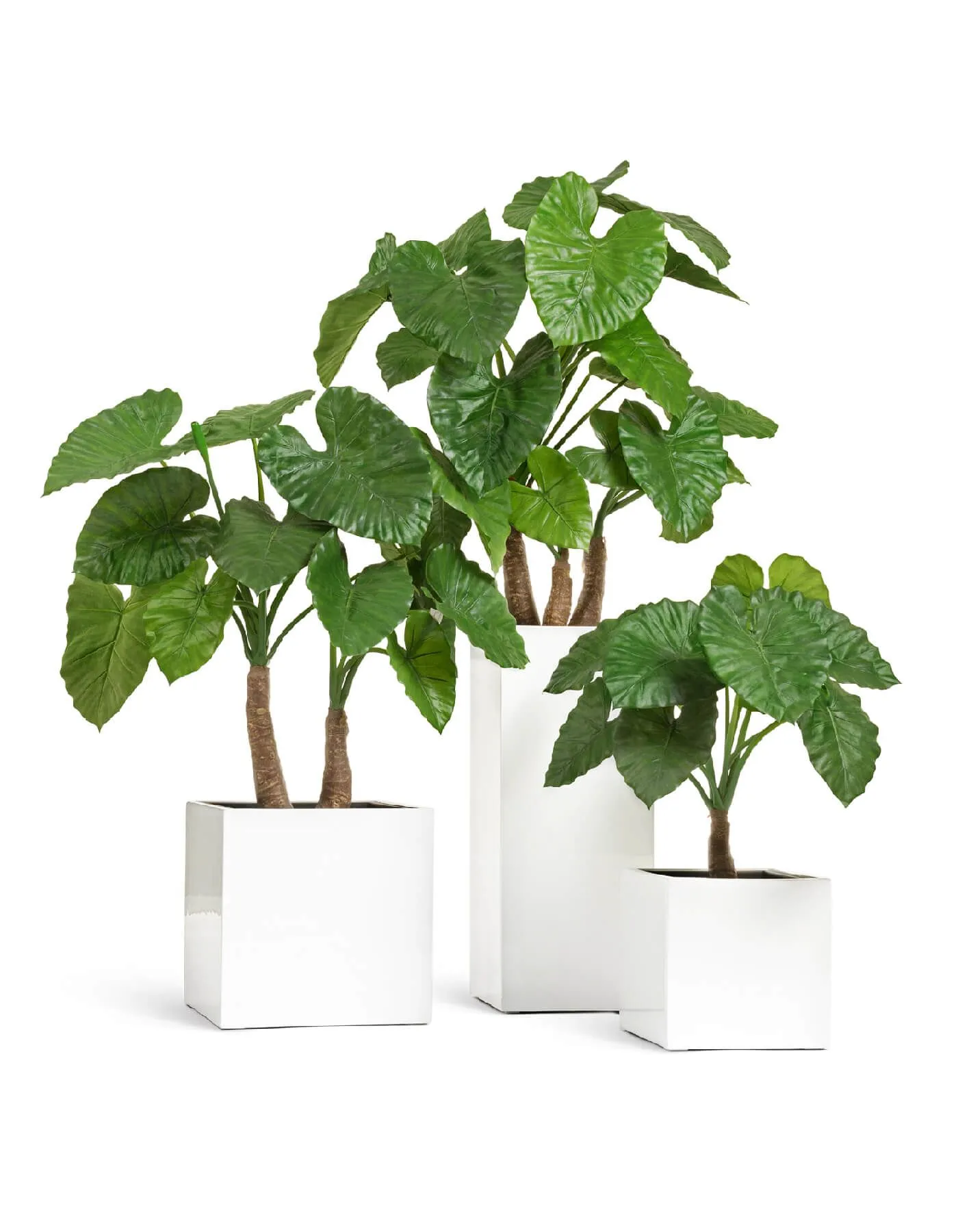 Кашпо Gloss - TREEZ Effectory - Белый глянцевый лак - Высокий куб