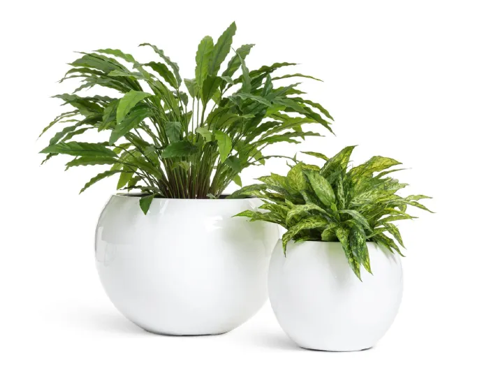 Кашпо Gloss - TREEZ Effectory - Белый глянцевый лак - Полусфера