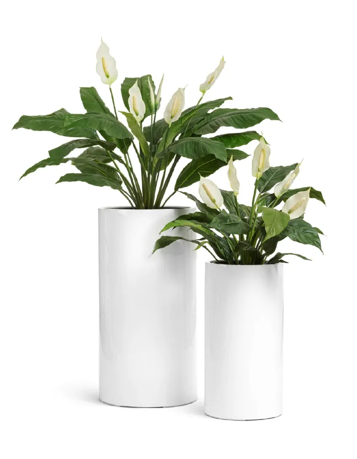 Кашпо Gloss - TREEZ Effectory - Белый глянцевый лак - Цилиндр высокий