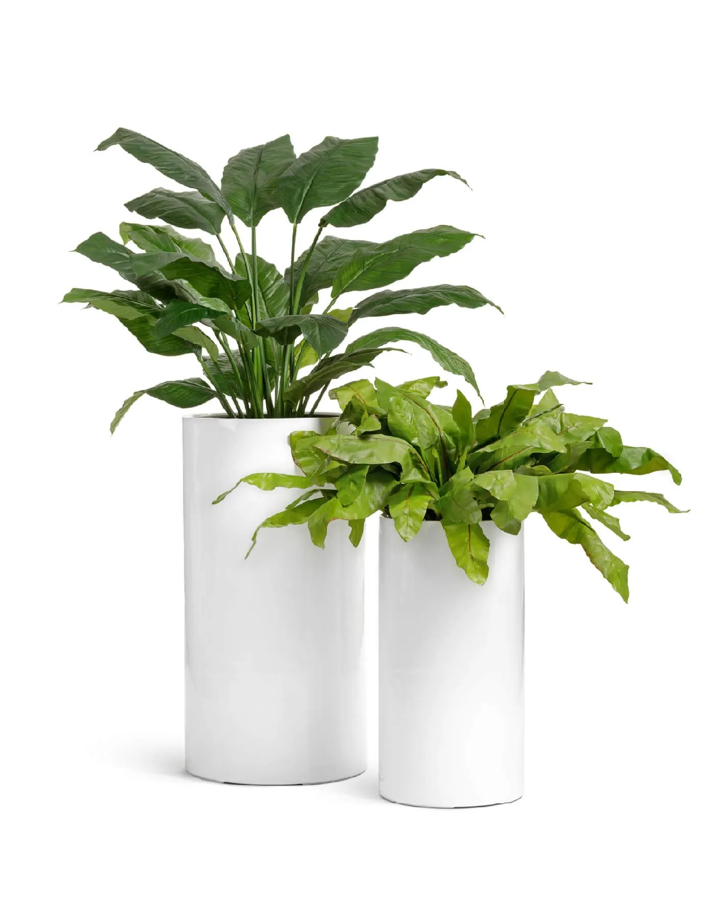 Кашпо Gloss - TREEZ Effectory - Белый глянцевый лак - Цилиндр высокий