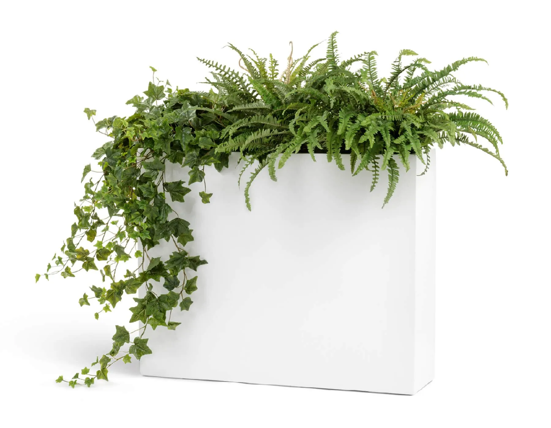 Кашпо Gloss - TREEZ Effectory - белый глянцевый лак - Дивайдер высокий