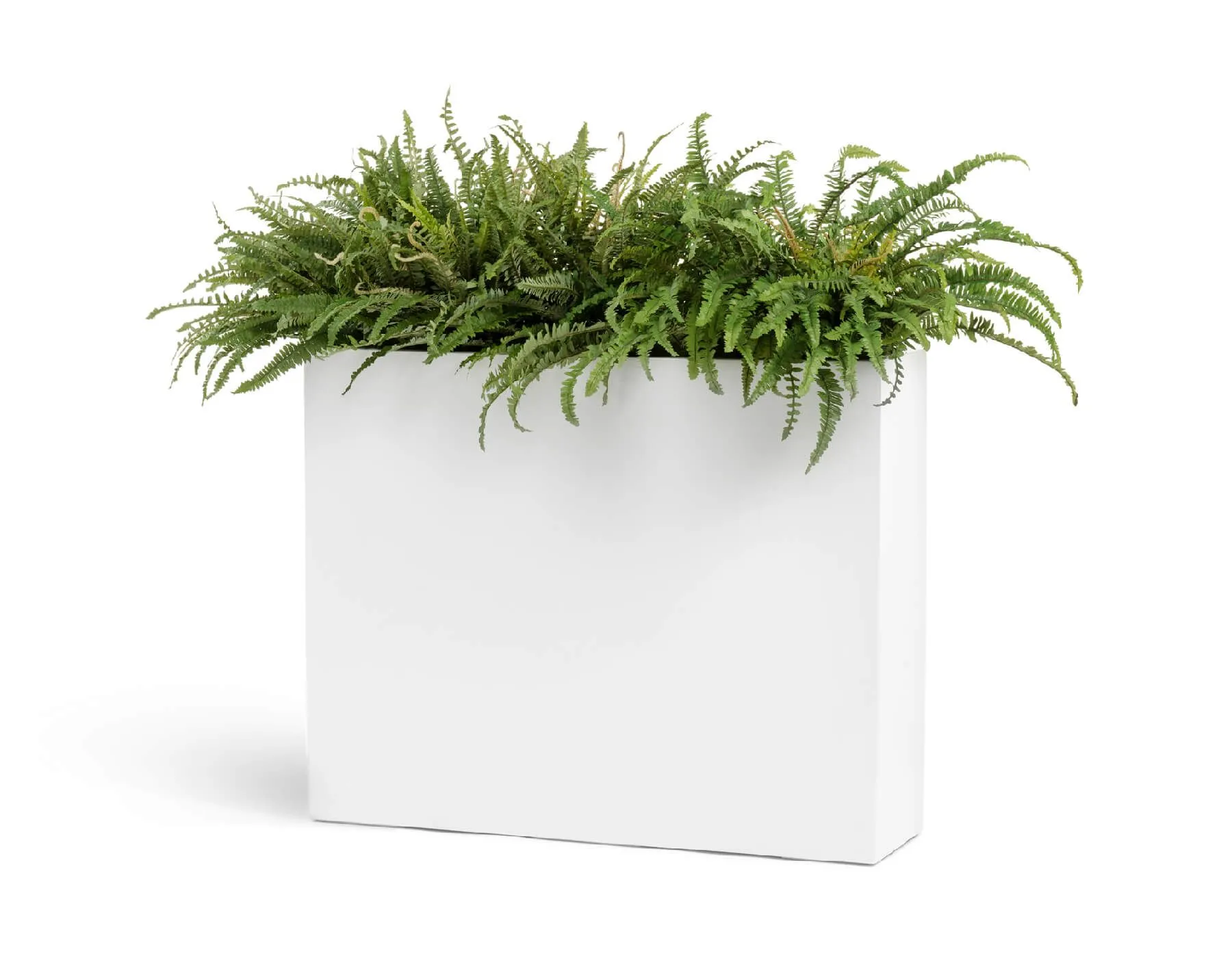 Кашпо Gloss - TREEZ Effectory - белый глянцевый лак - Дивайдер высокий