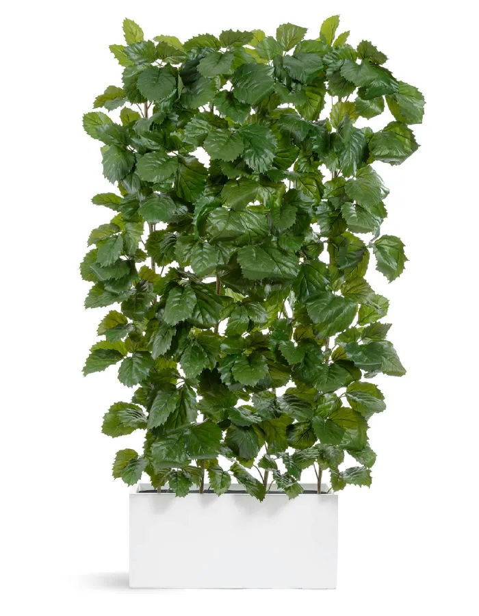 Кашпо Gloss - TREEZ Effectory - Белый глянцевый лак - Низкий узкий прямоугольник