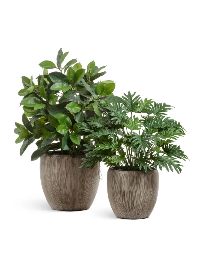 Кашпо Wow - TREEZ Effectory - Конус-Чаша - Капучино