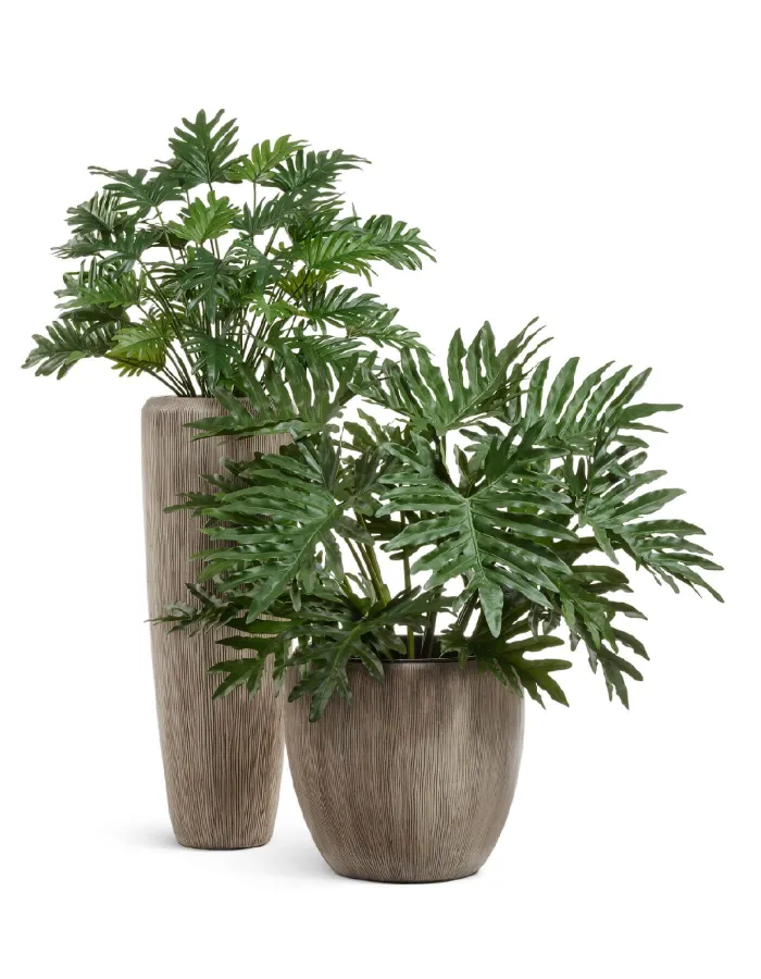 Кашпо Wow - TREEZ Effectory - Конус-Чаша - Капучино