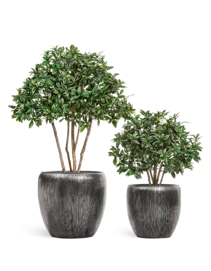 Кашпо Wow - TREEZ Effectory - Стальное серебро - Конус-Чаша