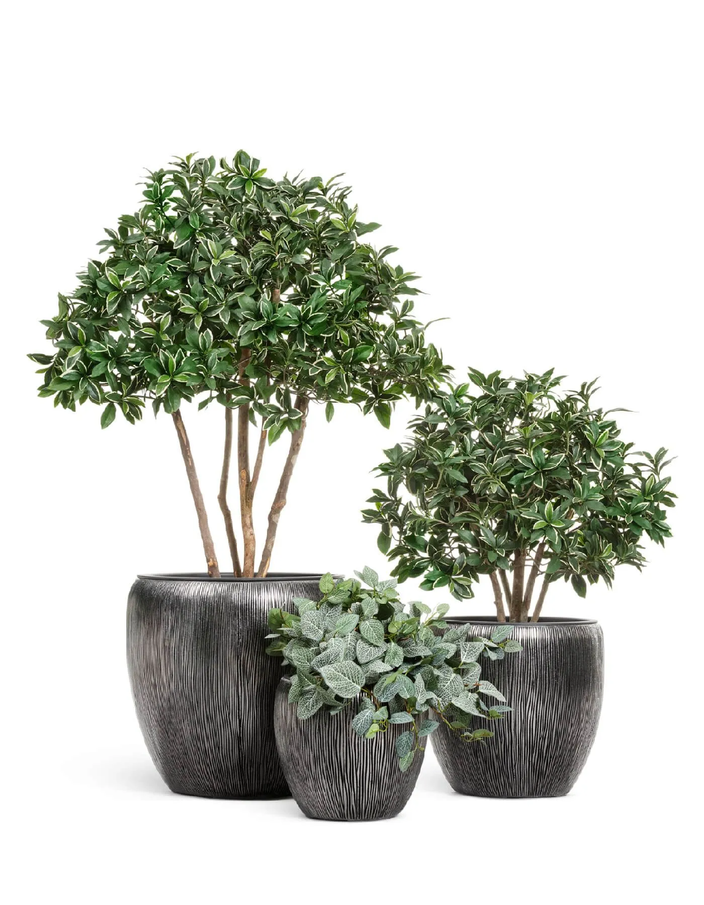 Кашпо Wow - TREEZ Effectory - Стальное серебро - Конус-Чаша