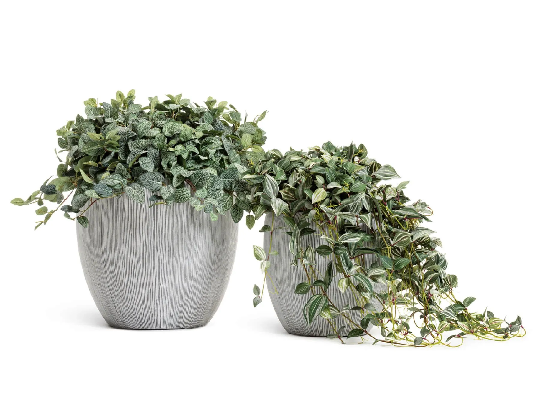 Кашпо Wow - TREEZ Effectory - Слоновая кость - Конус-Чаша