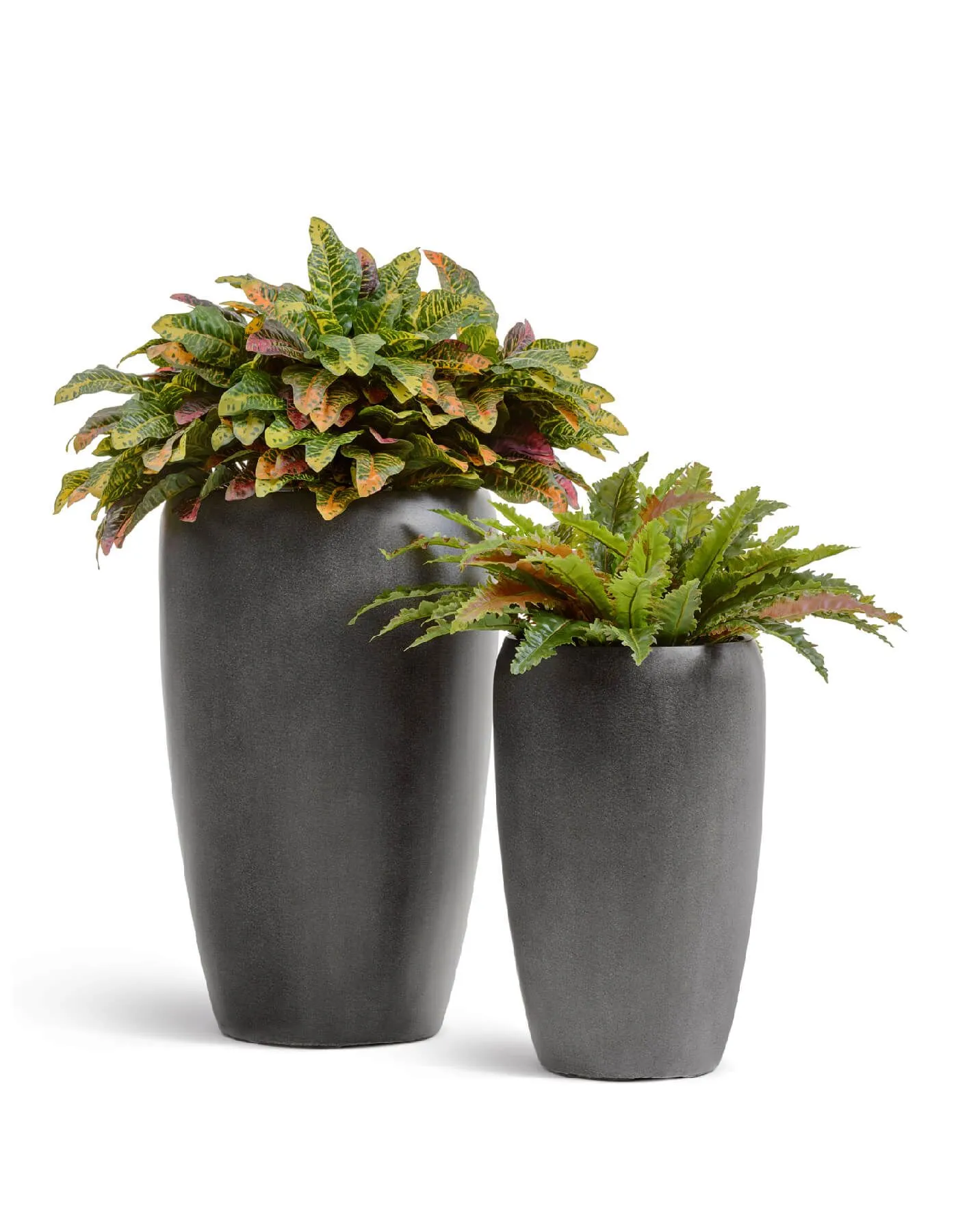 Кашпо Beton - TREEZ Effectory - Тёмно-серый бетон - Высокий округлый конус