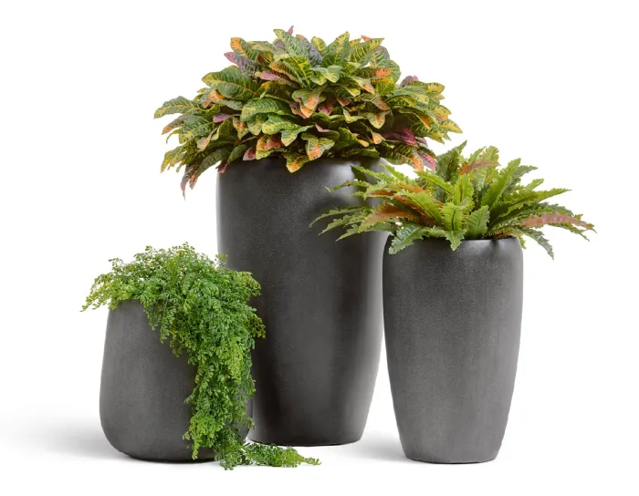 Кашпо Beton - TREEZ Effectory - Тёмно-серый бетон - Высокий округлый конус