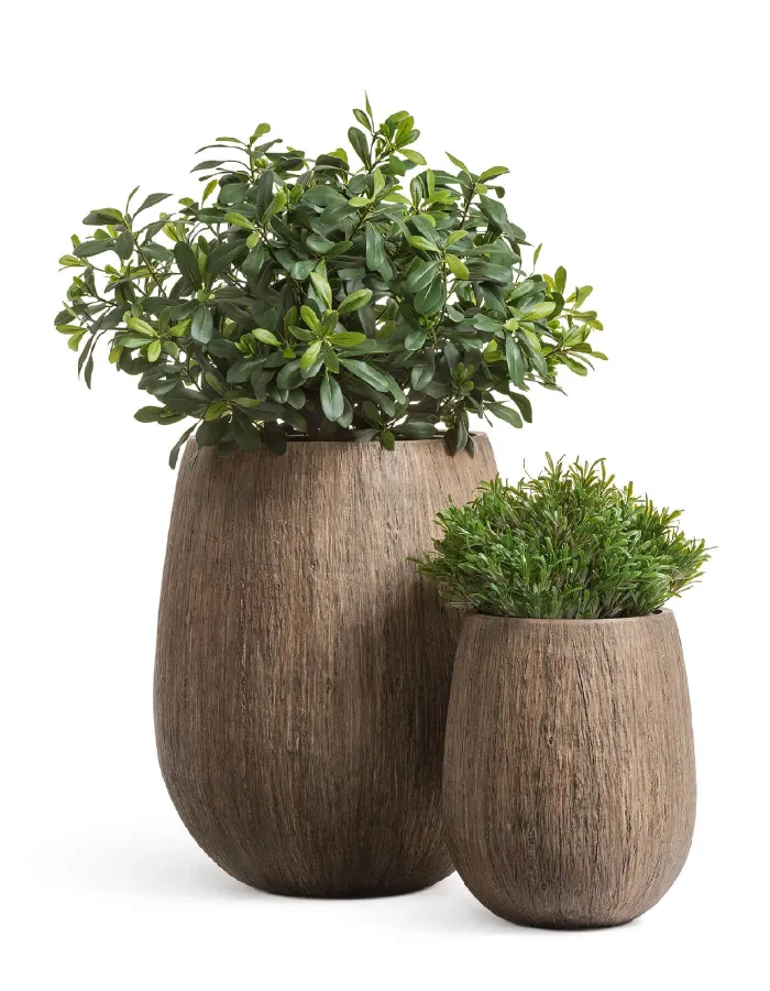 Кашпо Wood - TREEZ Effectory - Светлый дуб -  Округлая чаша