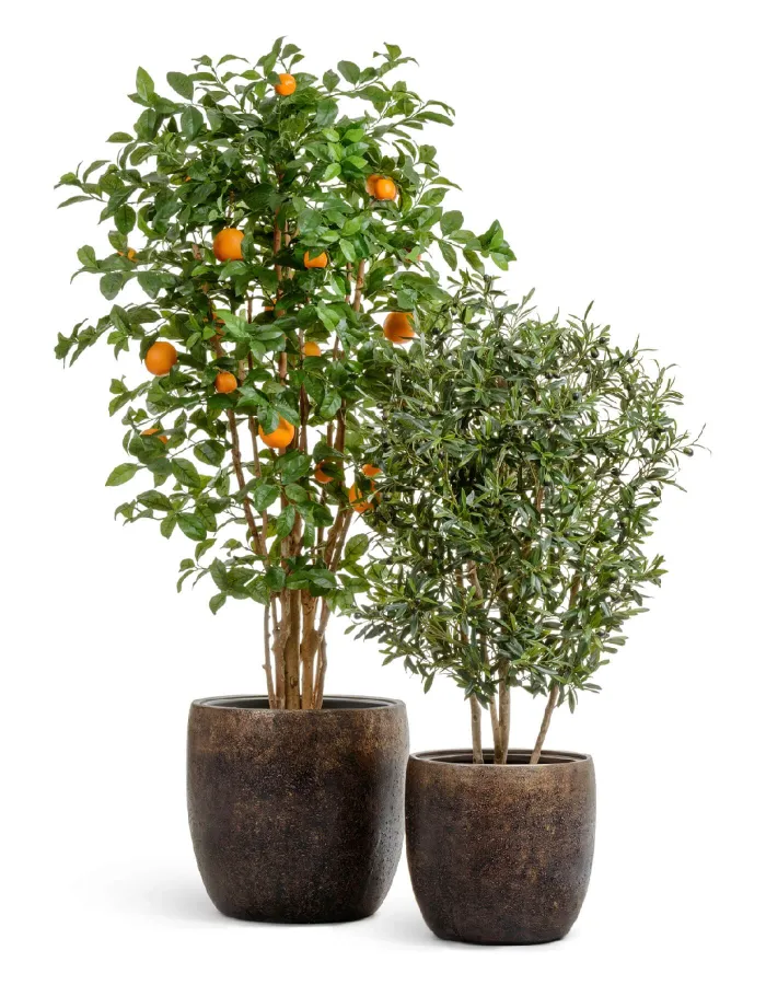 Кашпо Metal -  TREEZ Effectory - Rough с золотой патиной - Конус-чаша