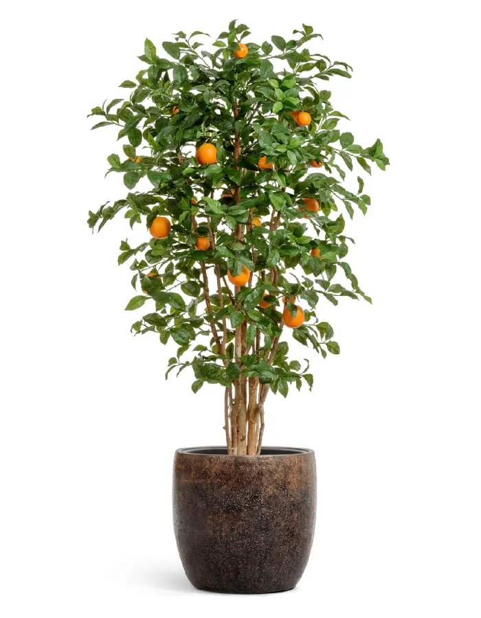 Кашпо Metal -  TREEZ Effectory - Rough с золотой патиной - Конус-чаша