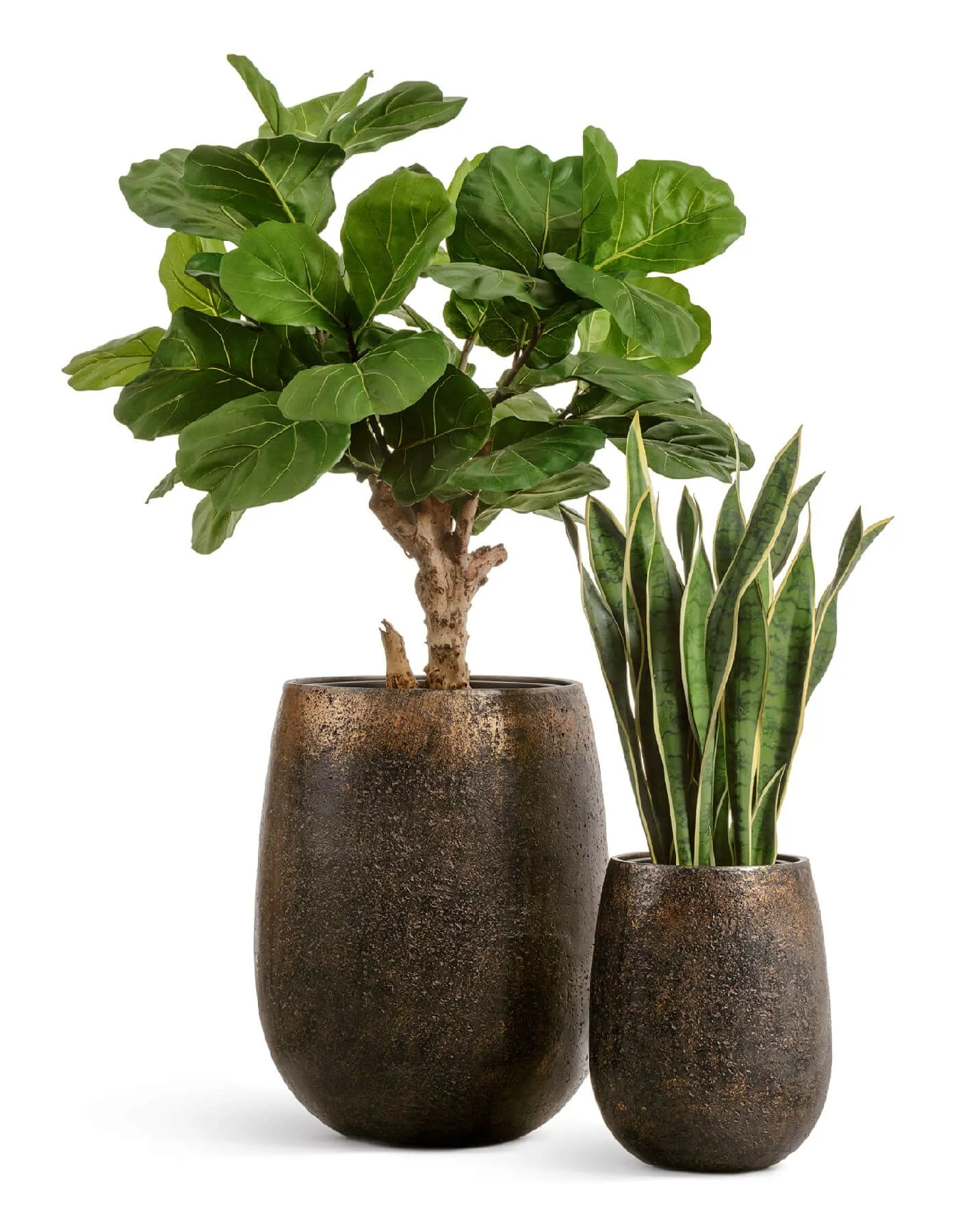 Кашпо Metal -TREEZ Effectory - Чаша Округлая  - Rough с Золотой Патиной