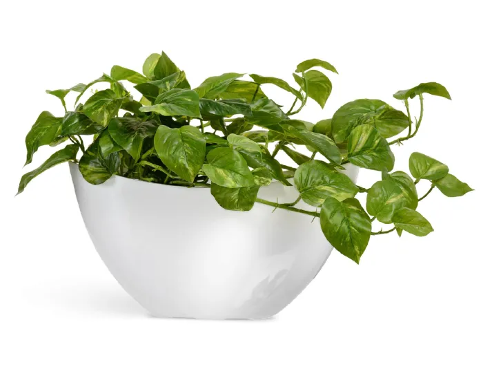 Кашпо Gloss - TREEZ Effectory - Малая Ваза-Лодка  - Лак белый глянцевый