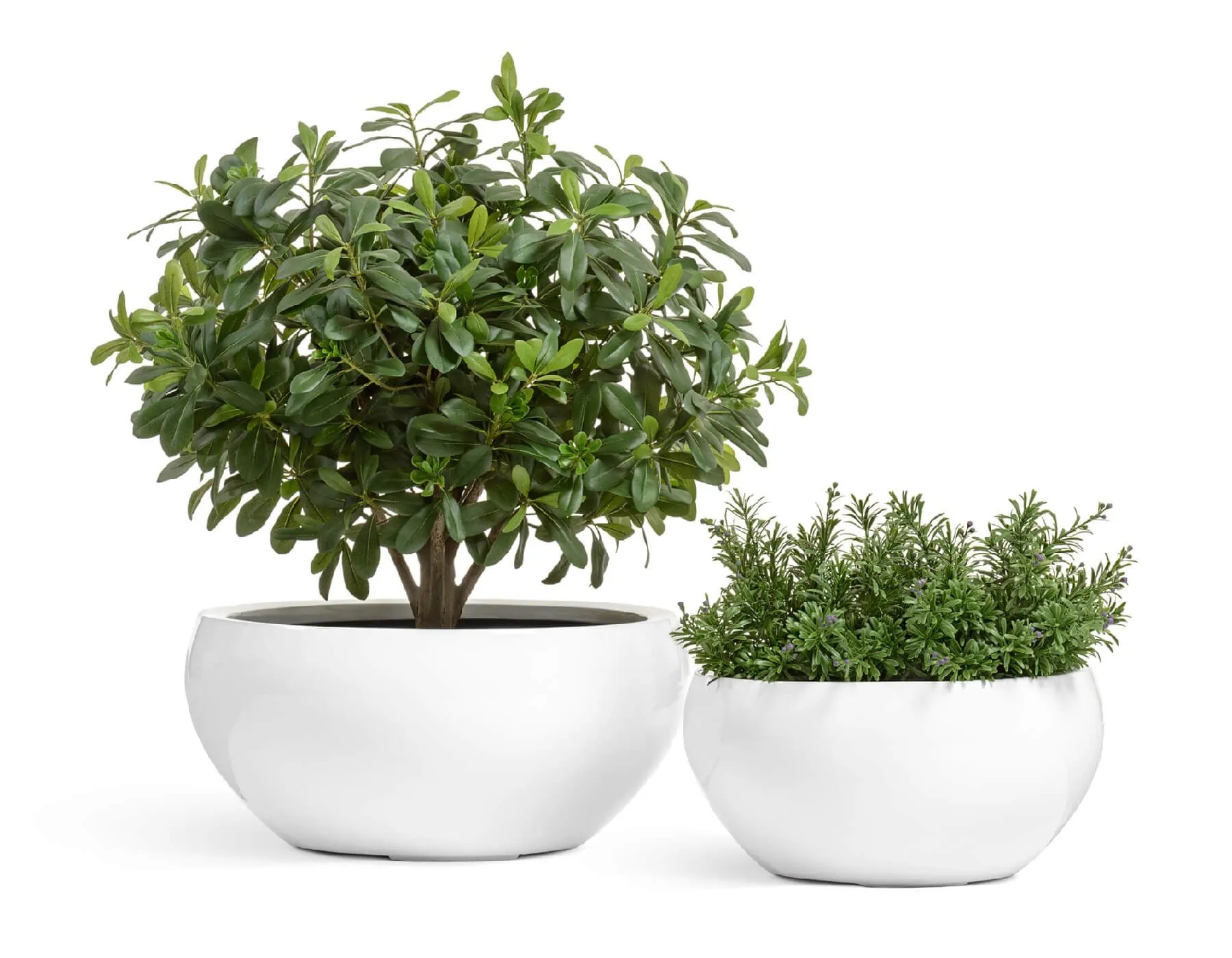 Кашпо Gloss - TREEZ Effectory - Полусфера низкая  - Лак белый глянцевый