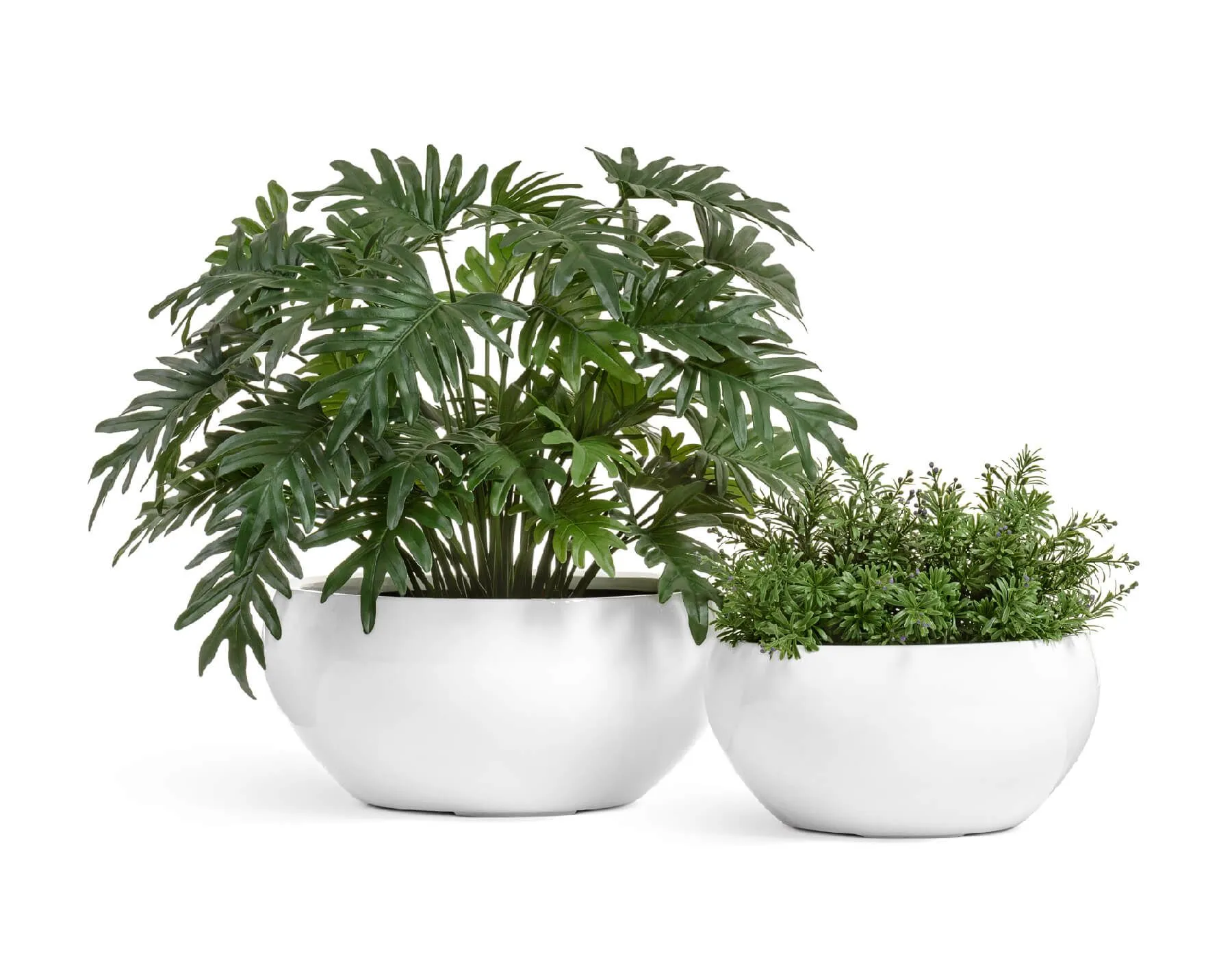 Кашпо Gloss - TREEZ Effectory - Полусфера низкая  - Лак белый глянцевый