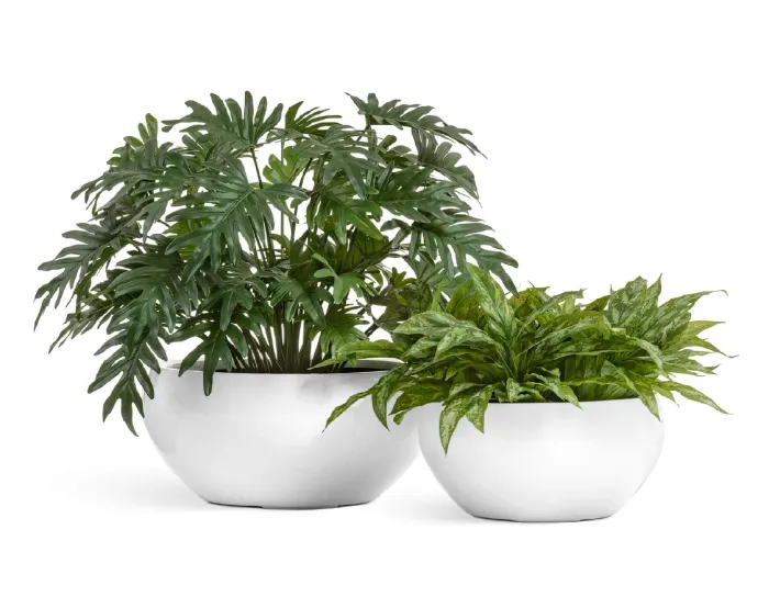 Кашпо Gloss - TREEZ Effectory - Полусфера низкая  - Лак белый глянцевый