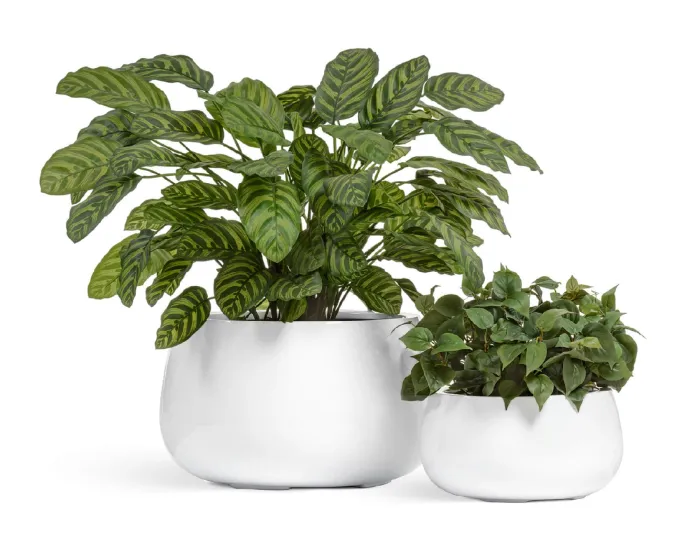 Кашпо Gloss -TREEZ Effectory - Чаша низкая  - Лак белый глянцевый