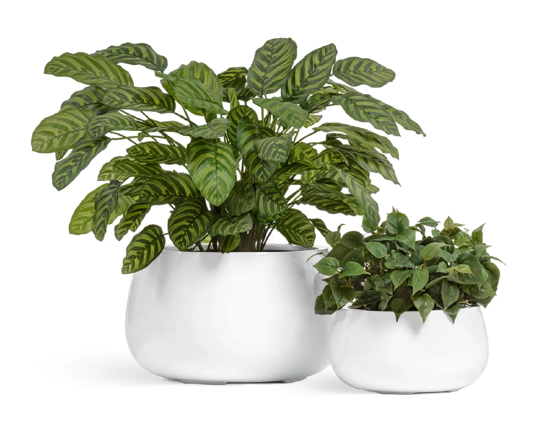 Кашпо Gloss -TREEZ Effectory - Чаша низкая  - Лак белый глянцевый