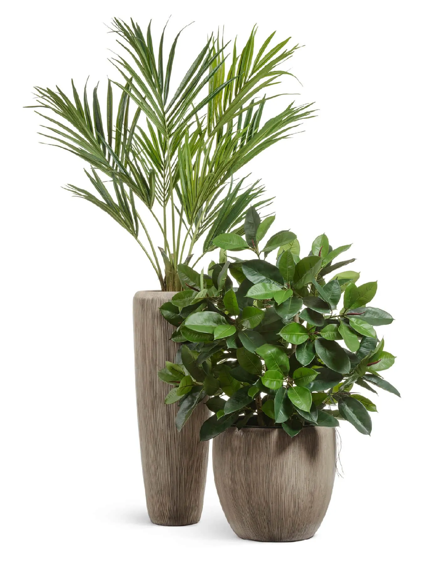 Кашпо Wow - TREEZ Effectory - Design конус Высокий - Капучино