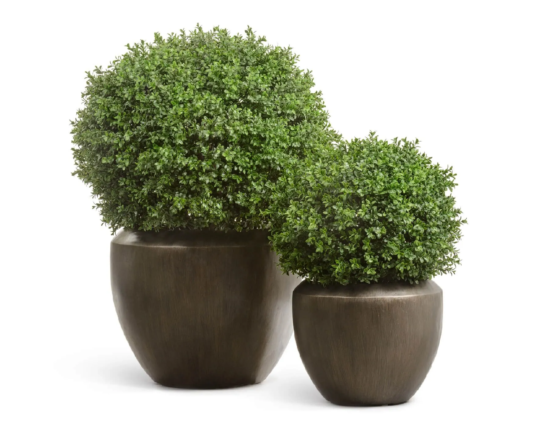 Кашпо Metal -TREEZ Effectory - Design Чаша - бронза Чернёная