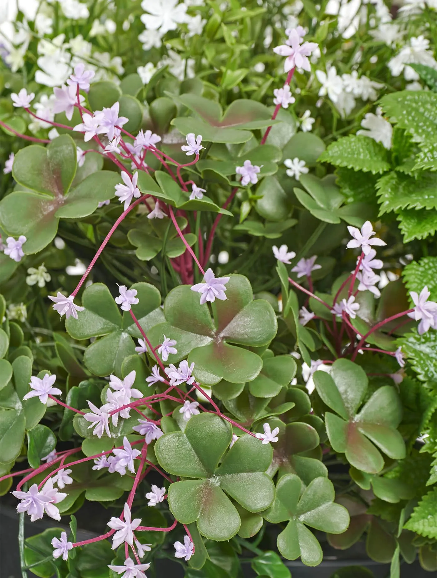 Куст Цветущее разнотравье