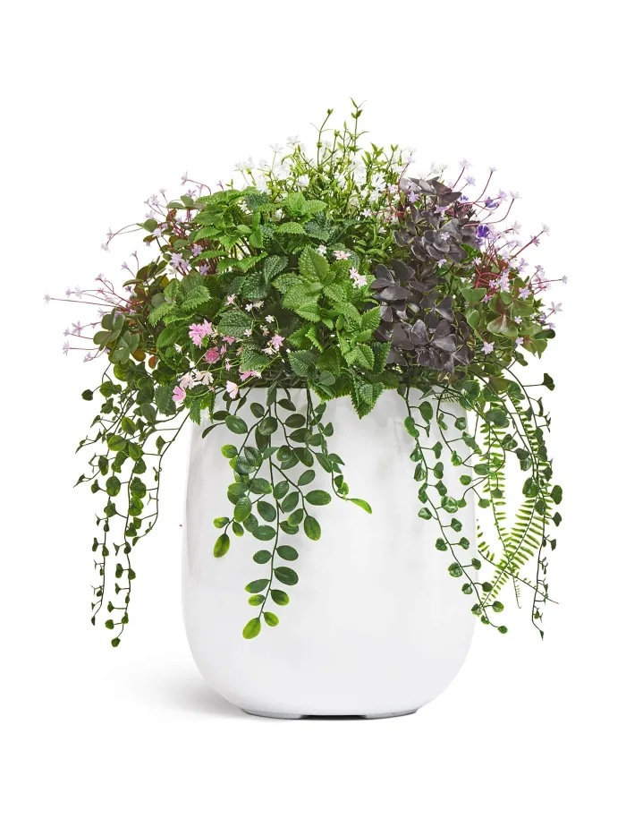 Куст Цветущее разнотравье