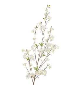 Большая Белая Ветка Сакуры  Дворец императора