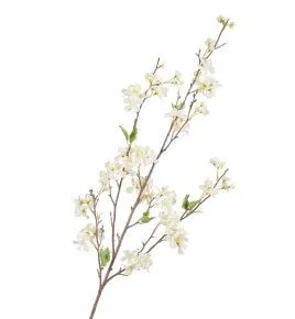 Средняя Белая Ветка Сакуры Дворец императора