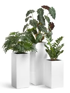 Композиция № 23 - кашпо Treez Effectory Gloss Высокий куб и Алоказия, Филодендрон и Замиокулькас