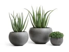 Композиция № 86 - алоэ в кашпо Treez Effectory Beton