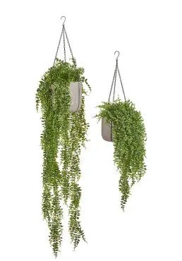 Композиция № 87 - подвесные кашпо Treez Effectory Beton с папоротником