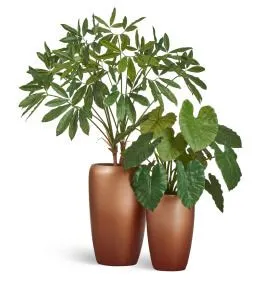 Композиция № 100 - в матовых кашпо Treez Effectory Metal с филодендроном