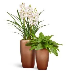 Композиция № 101 - с орхидеей в матовых кашпо Treez Effectory Metal