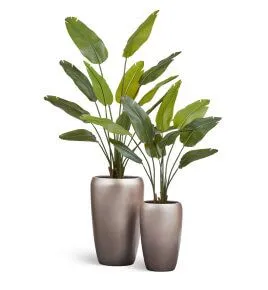 Композиция № 102 - матовые кашпо Treez Effectory Metal со стрелициями