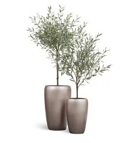 Композиция № 103 - с оливами Prime в матовых кашпо Treez Effectory Metal