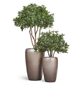 Композиция  № 104 - с бересклетами в матовых кашпо Treez Effectory Metal