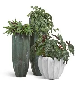 Композиция № 109 - напольная в кашпо Treez Effectory Aura